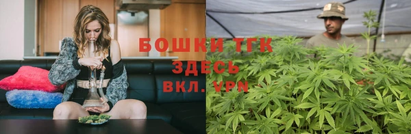 шишки Новозыбков
