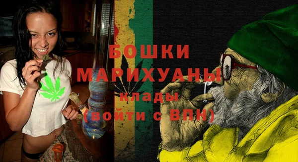 твердый Новодвинск