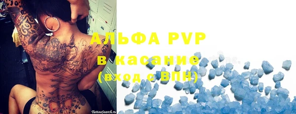 твердый Новодвинск