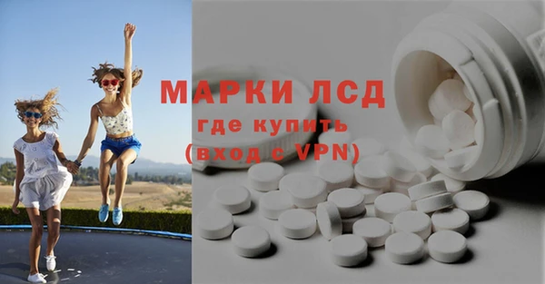 шишки Новозыбков