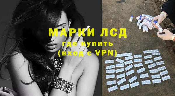 твердый Новодвинск