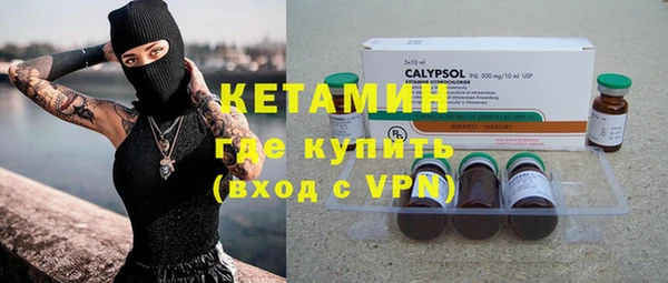 твердый Новодвинск