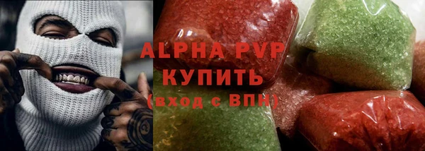 сатива Новокубанск