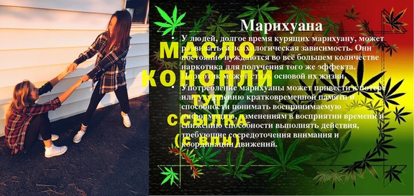 сатива Новокубанск