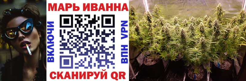 как найти   Беломорск  Канабис марихуана 